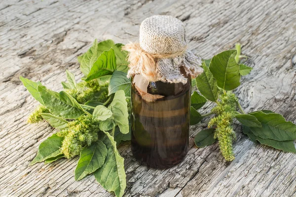 Marihuana de raíz roja (Amaranthus retroflexus) y bott farmacéutico — Foto de Stock