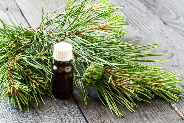 Pine essential oil and pine branches with green cones — Stock Photo, Image
