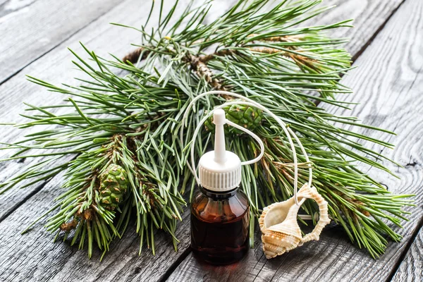 Olio essenziale di pino e rami di pino con coni verdi — Foto Stock