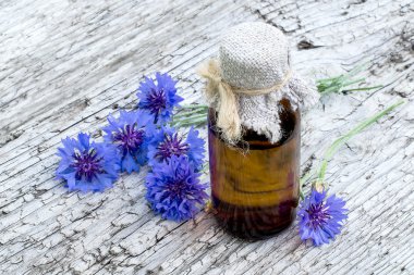 Tıbbi bitki peygamberçiçeği (Centaurea cyanus) ve ilaç