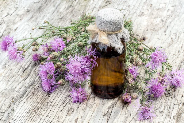 Medicinsk plante Centaurea jacea og farmaceutisk flaske - Stock-foto