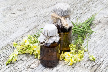 Common toadflax (Linaria vulgaris) and pharmaceutical bottles  clipart