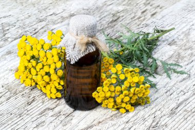 Tansy (Tanacetum vulgare) ve ilaç şişesi 