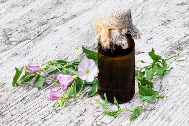 Alan bağlama (Convolvulus arvensis) ve ilaç şişesi 