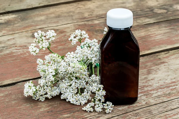 Milenrama (achillea millefolium) y frasco farmacéutico — Foto de Stock