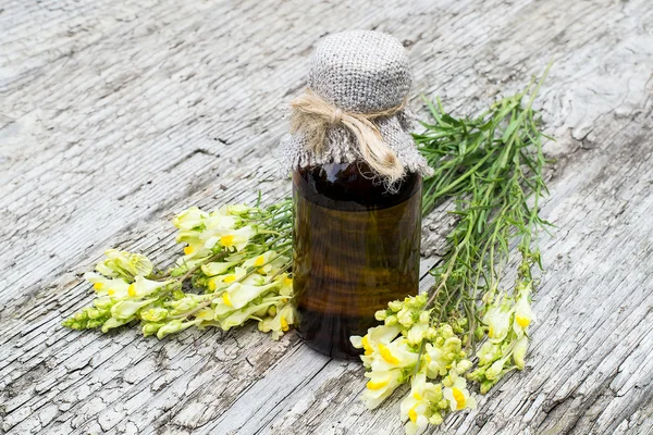 Közönséges toadlen (Linaria vulgaris) és gyógyszeripari palack — Stock Fotó
