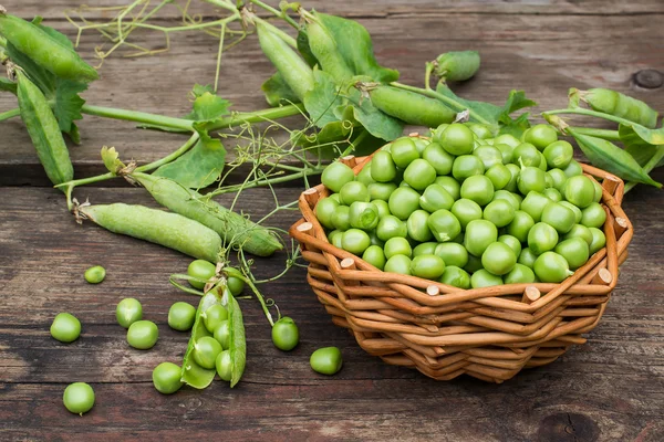 Jeunes pois verts dans un panier en osier — Photo