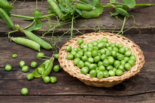 Young green peas in a wicker plate — Stok fotoğraf