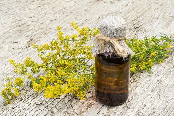 Planta medicinal Galium verum (paja de cama de señora, paja de cama amarilla ) — Foto de Stock