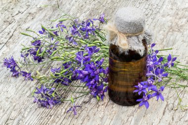 Tıbbi bitki Consolida regalis (Forking Larkspur) ve pharmac