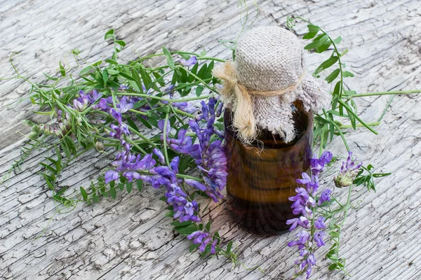 Medicinal plant Vicia cracca and pharmaceutical bottle