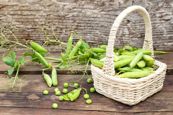 Jeunes pois verts dans un panier en osier — Photo