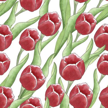 Elle çizilmiş suluboya resimlerine dayanan lalelerle kusursuz suluboya deseni. Geçmişi, ambalaj kağıdı, ambalaj kağıdı, baskılar, kapaklar, kumaş, tekstil, doğum günü, Sevgililer Günü