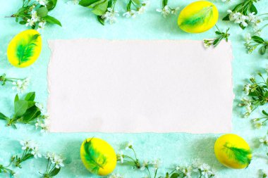 Yeşil tüylü parlak sarı yumurtalar ve kağıt çarşafın etrafında kiraz çiçekleri olan neşeli Paskalya arkaplanı. Sanat tasarımı veya metin için boş kağıt sayfa ile düz yatıyordu