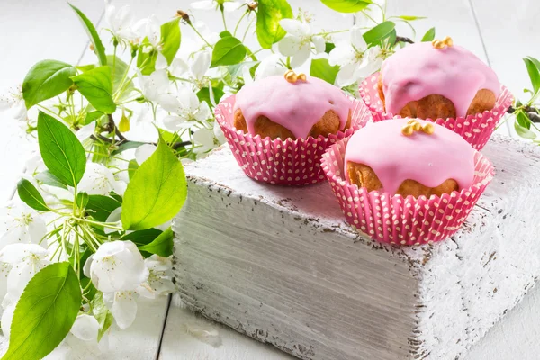 Cupcakes with pink frosting and a branch of apple blossoms — Stock Photo, Image