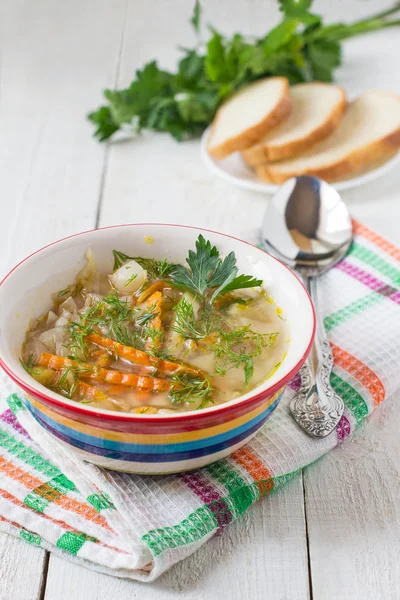 Sopa de repolho e batata — Fotografia de Stock