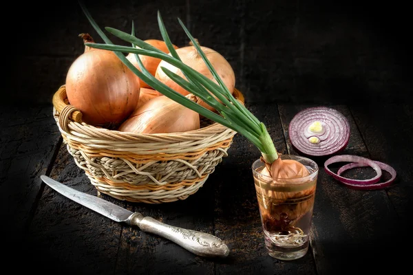 Onion and knife on the table — Stockfoto