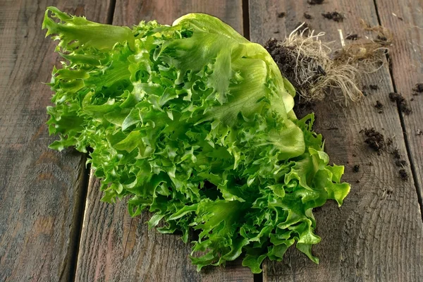 Taze yeşil salata. — Stok fotoğraf