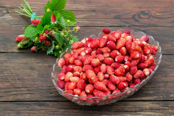 Freshly wild strawberry in a dish — Stockfoto
