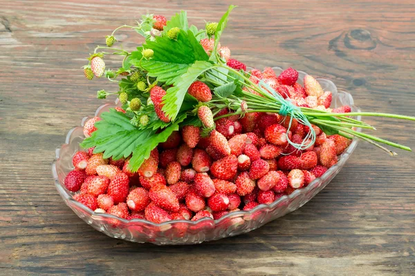 Dish with fresh sweet strawberries — Stockfoto