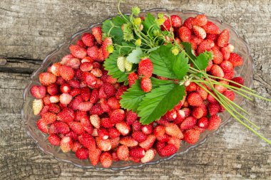 Full bowl of sweet strawberries and fragrant bouquet with berrie