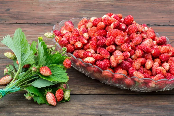 Lots of ripe wild strawberry in the dish — Stock Fotó
