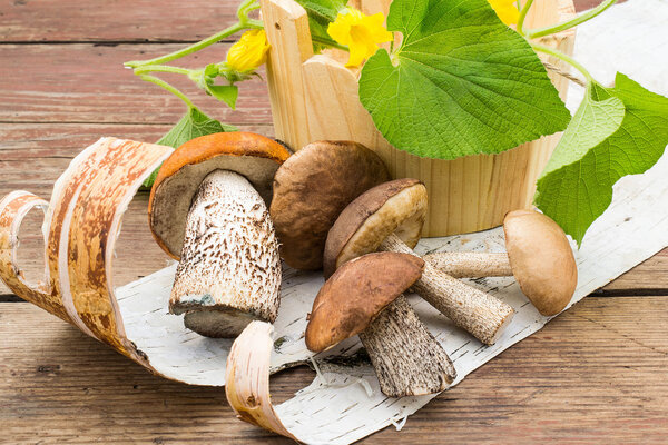 A heap of wild mushrooms and flowers tladianta in a wooden bucke