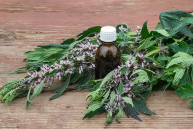 Herbal medicine: grass and tincture of motherwort  clipart