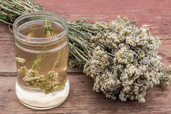 Medicinal plant yarrow (dried flowers and decoction) 