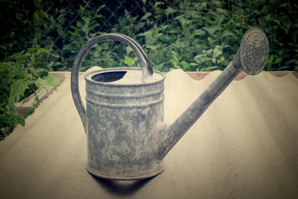 Uma lata de rega galvanizada velha às plantas da água — Fotografia de Stock