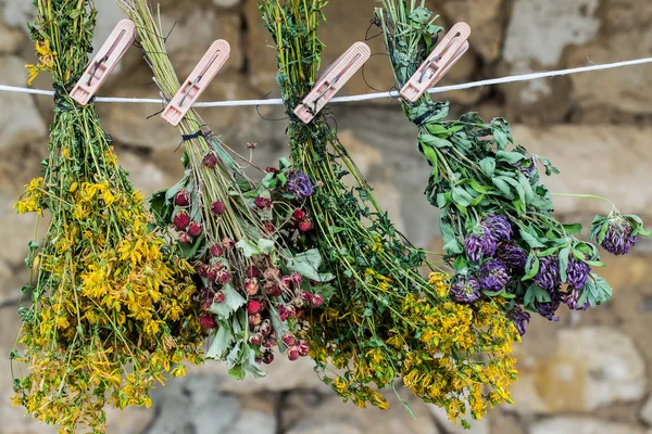 Léčivé byliny se suší ve svazcích na laně — Stock fotografie