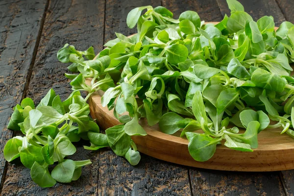 Ensalada de maíz (lechuga de cordero, Valerianella locusta ) — Foto de Stock