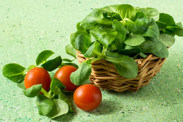 Salada de milho (salada Rapunzel, alface de cordeiro) e tomates — Fotografia de Stock