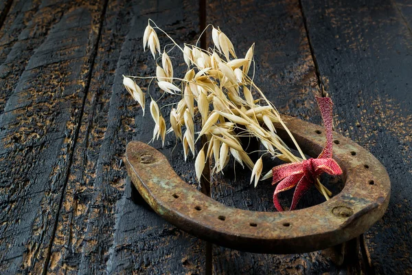 Herradura y avena - símbolos de buena suerte y prosperidad — Foto de Stock