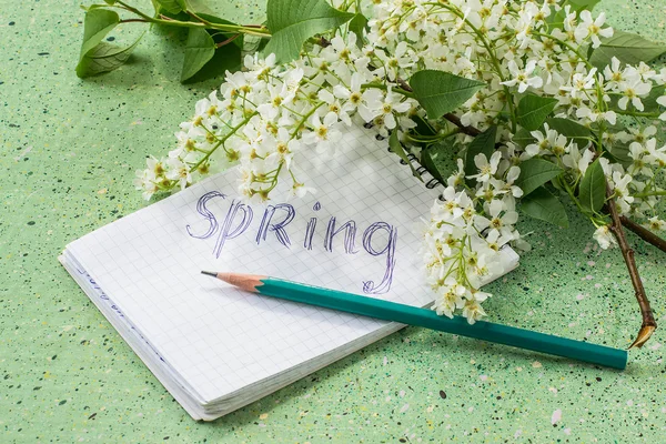 Bird cherry and a notebook with the words: spring — Stock Photo, Image