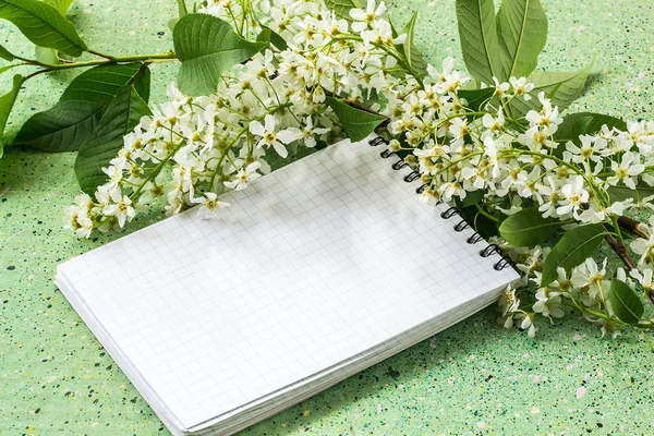 Branch blossoming bird cherry and notebook — Stock Photo, Image