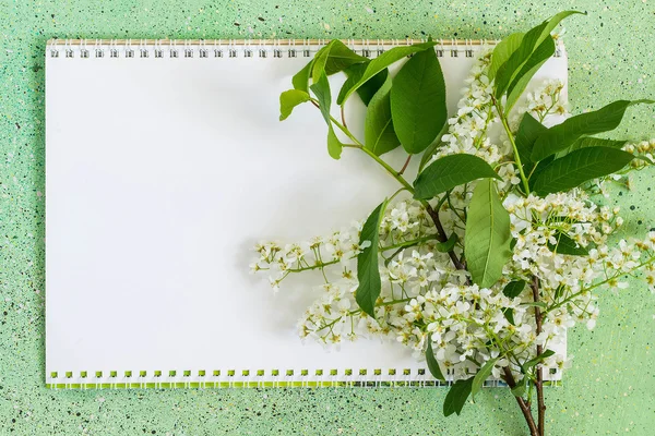 Notebook and blooming branch of bird cherry — Stock Photo, Image