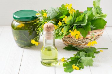 Celandine herbs, tincture and oil herbal 