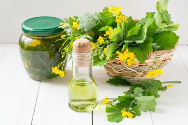 Celandine herbs, tincture and oil herbal  clipart