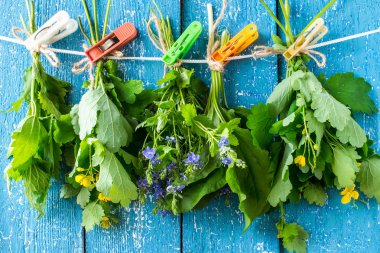 Medicinal herbs for herbal medicine dried 