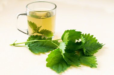 Herbal medicine: fresh nettle and broth  