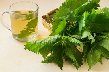 The broth nettle and fresh leaves in a basket 