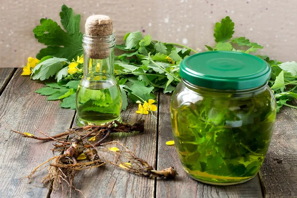 Herbal medicine: celandine, tincture, oil and roots — Stockfoto