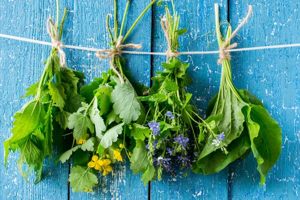 Herbs are dried on the clothesline — Stok fotoğraf