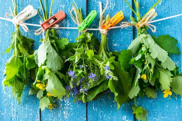 Medicinal herbs for herbal medicine dried — Stok fotoğraf