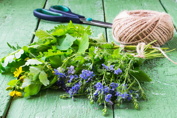 Herbs are prepared for drying 