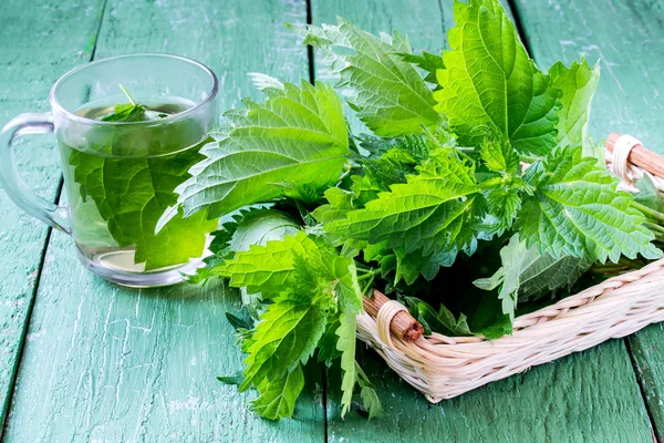 Medicinal plant nettles: fresh leaves and infusion — Zdjęcie stockowe