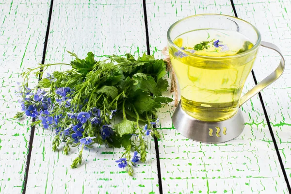 Травяной чай от Вероники Хамедрис и цветы — стоковое фото