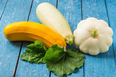 Multicolored zucchini and pattypan squash 