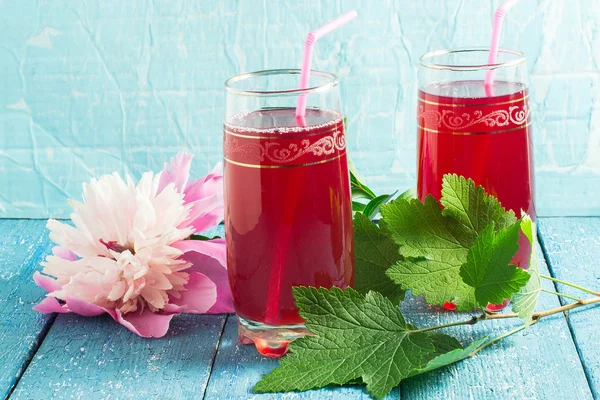 Bebida refrescante com suco de cranberry e peônia — Fotografia de Stock